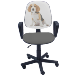 Antara Dog Color