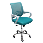 Lori White Chrome - Image 2