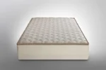 CLASSIC Foam - Image 2