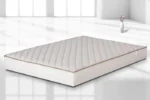 CLASSIC Foam