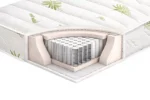 Aloe Spring - Image 2
