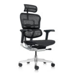 Ergohuman NEW