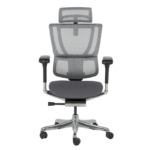 Ергономичен стол ERGOHUMAN IOO ELITE 2 - черна рамка - сив - Image 2